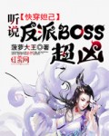 촩槼˵BOSS